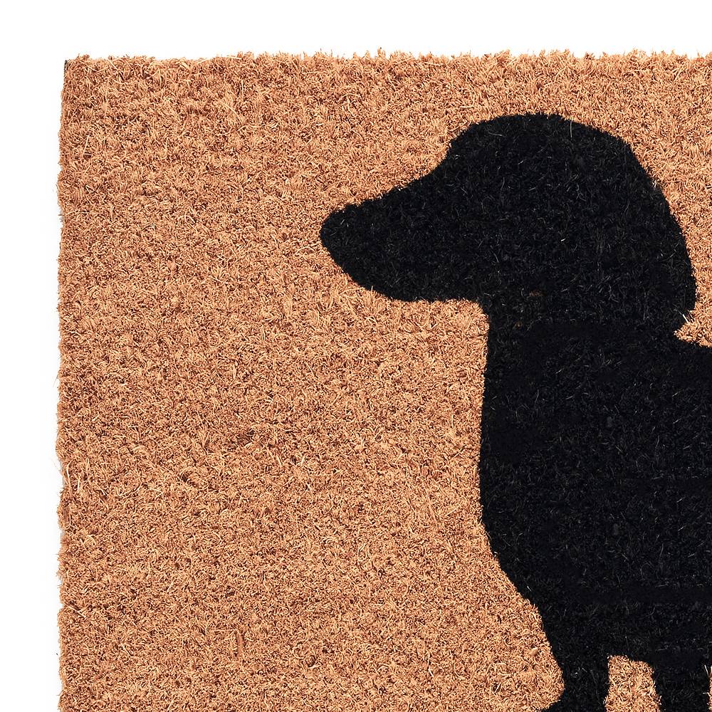 Oresteluchetta Zerbino WELCOME DOGGIE