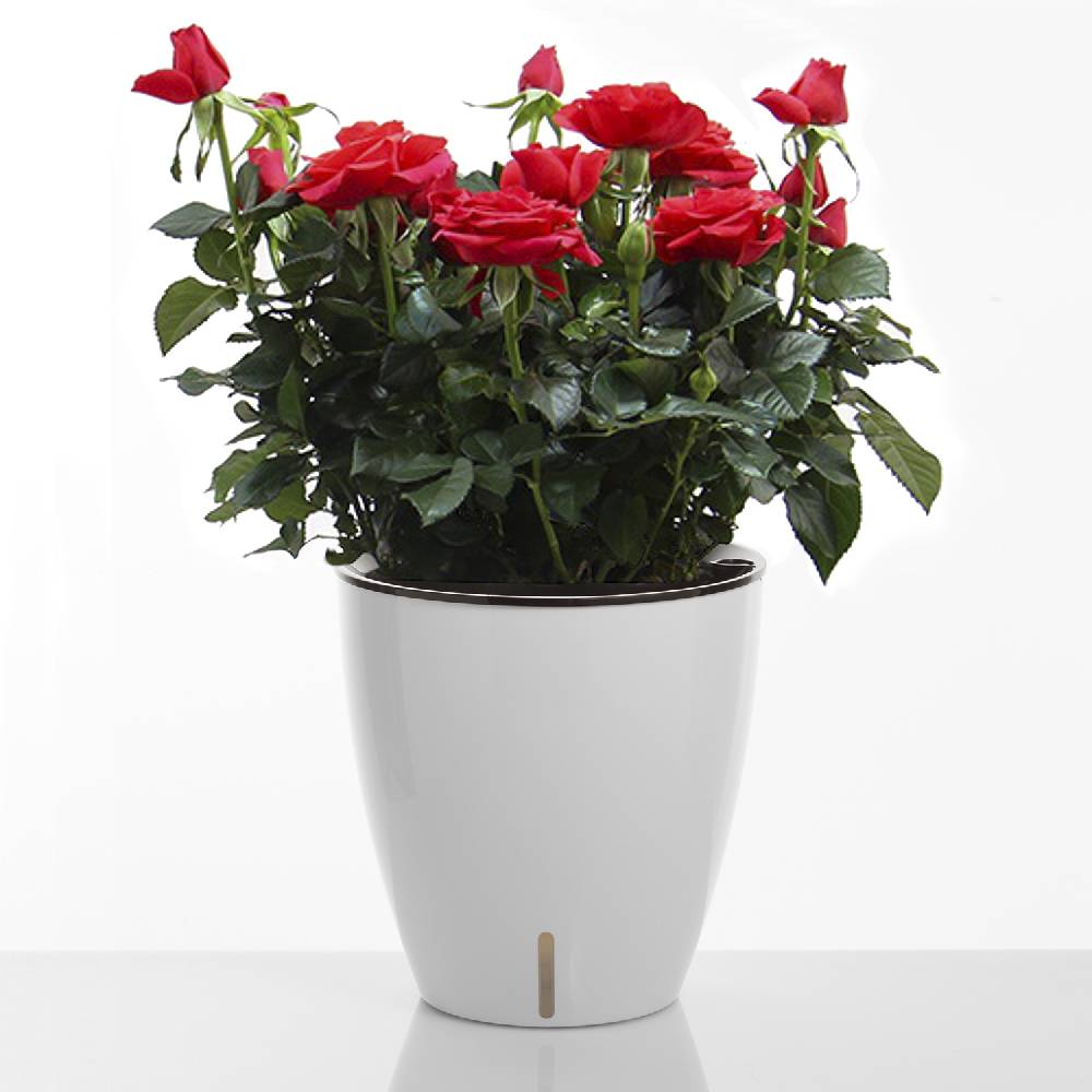 Oresteluchetta Vaso Autoinnaffiante Per Esterno / Interno ARGO