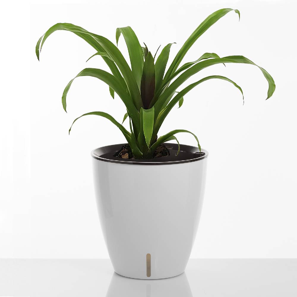 Oresteluchetta Vaso Autoinnaffiante Per Esterno / Interno ARGO