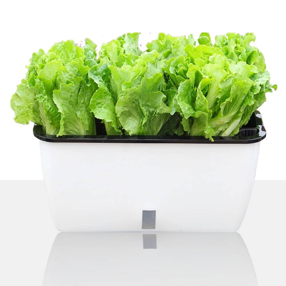 Oresteluchetta Vaso Autoinnaffiante Per Esterno / Interno TULLE BIG