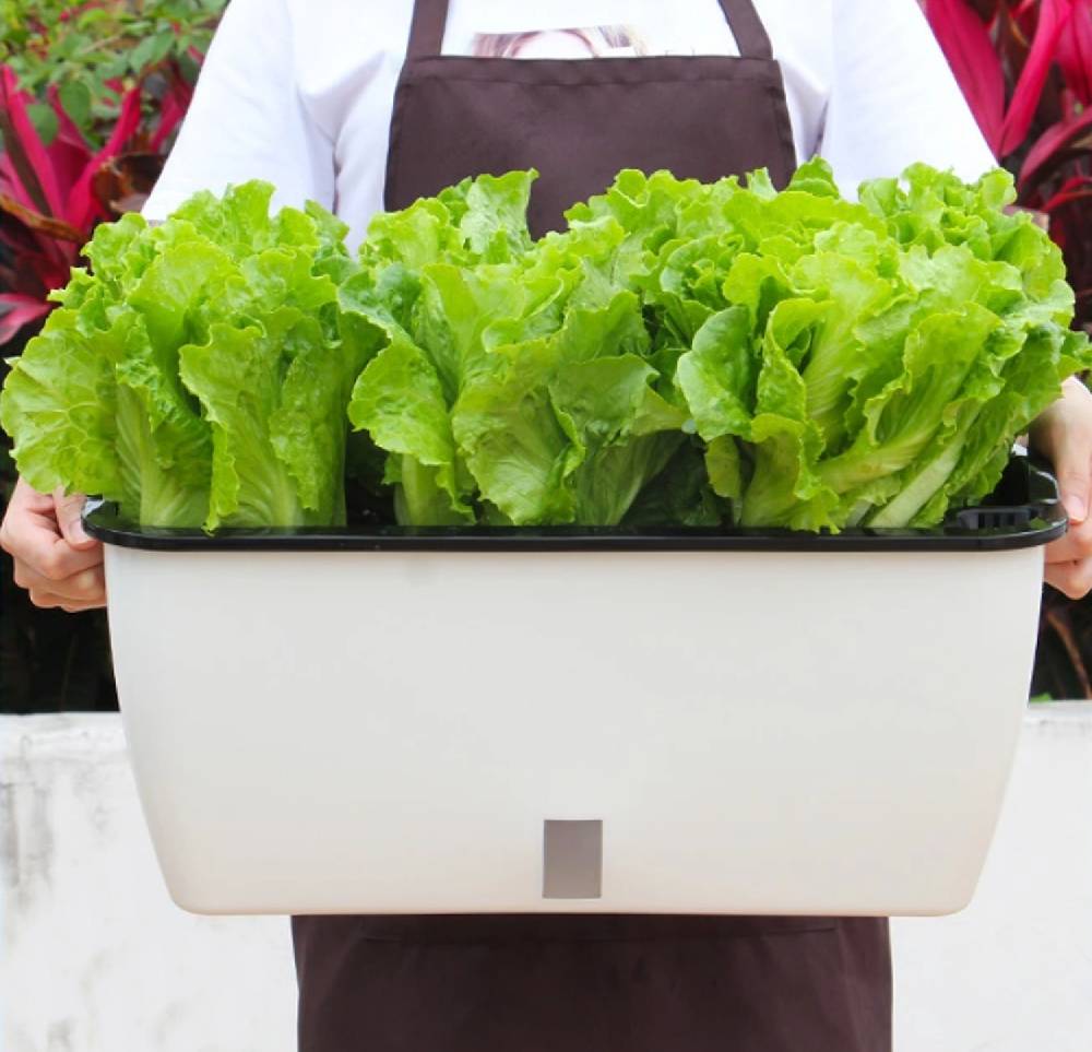 Oresteluchetta Vaso Autoinnaffiante Per Esterno / Interno TULLE BIG