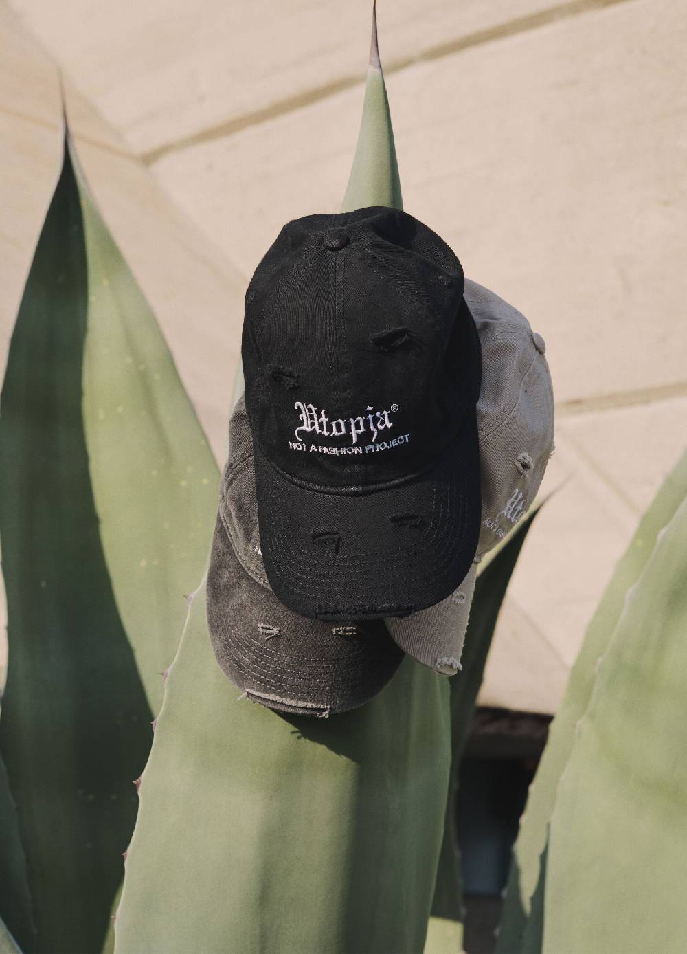 Ovs Distressed Cap Black