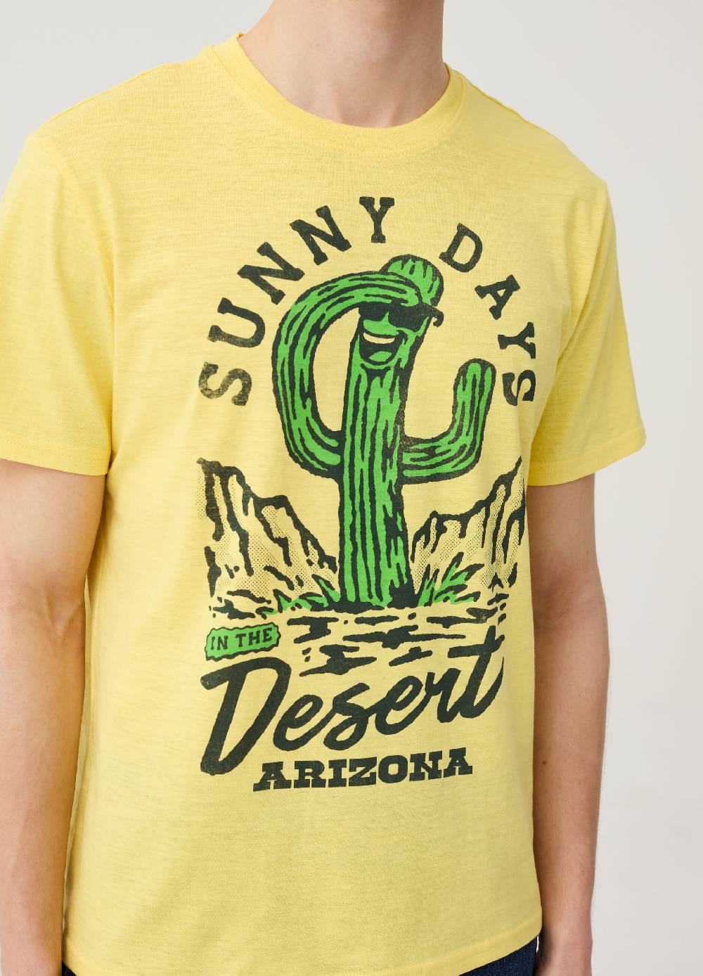 Ovs T-shirt Con Stampa Arizona Desert