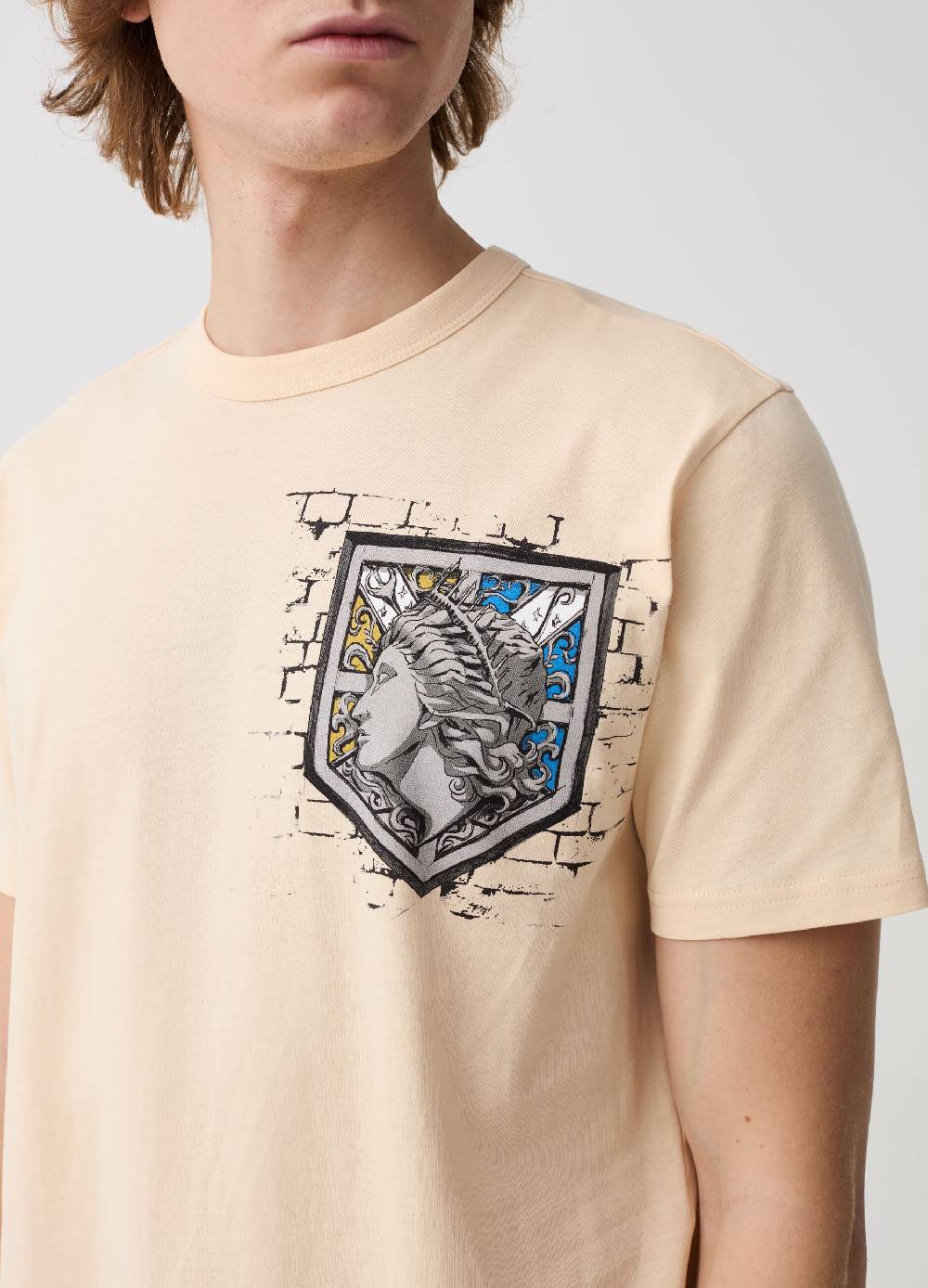Ovs T-shirt Con Stampa Attack On Titan