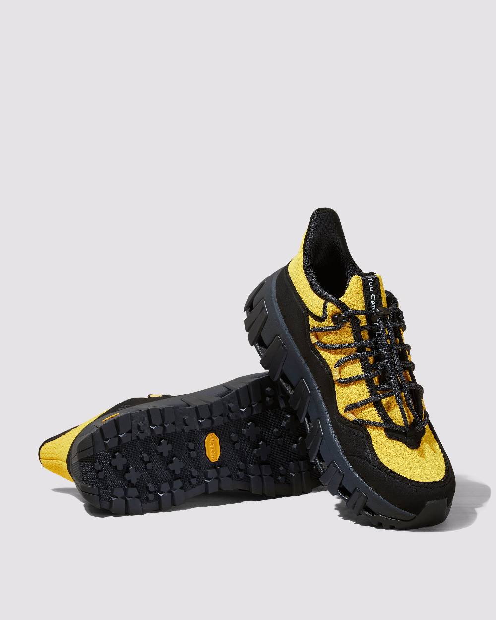 P448 Monalea Salamandra