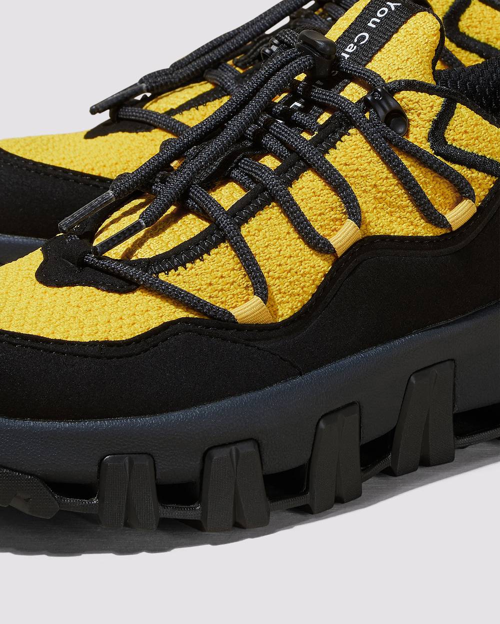 P448 Monalea Salamandra