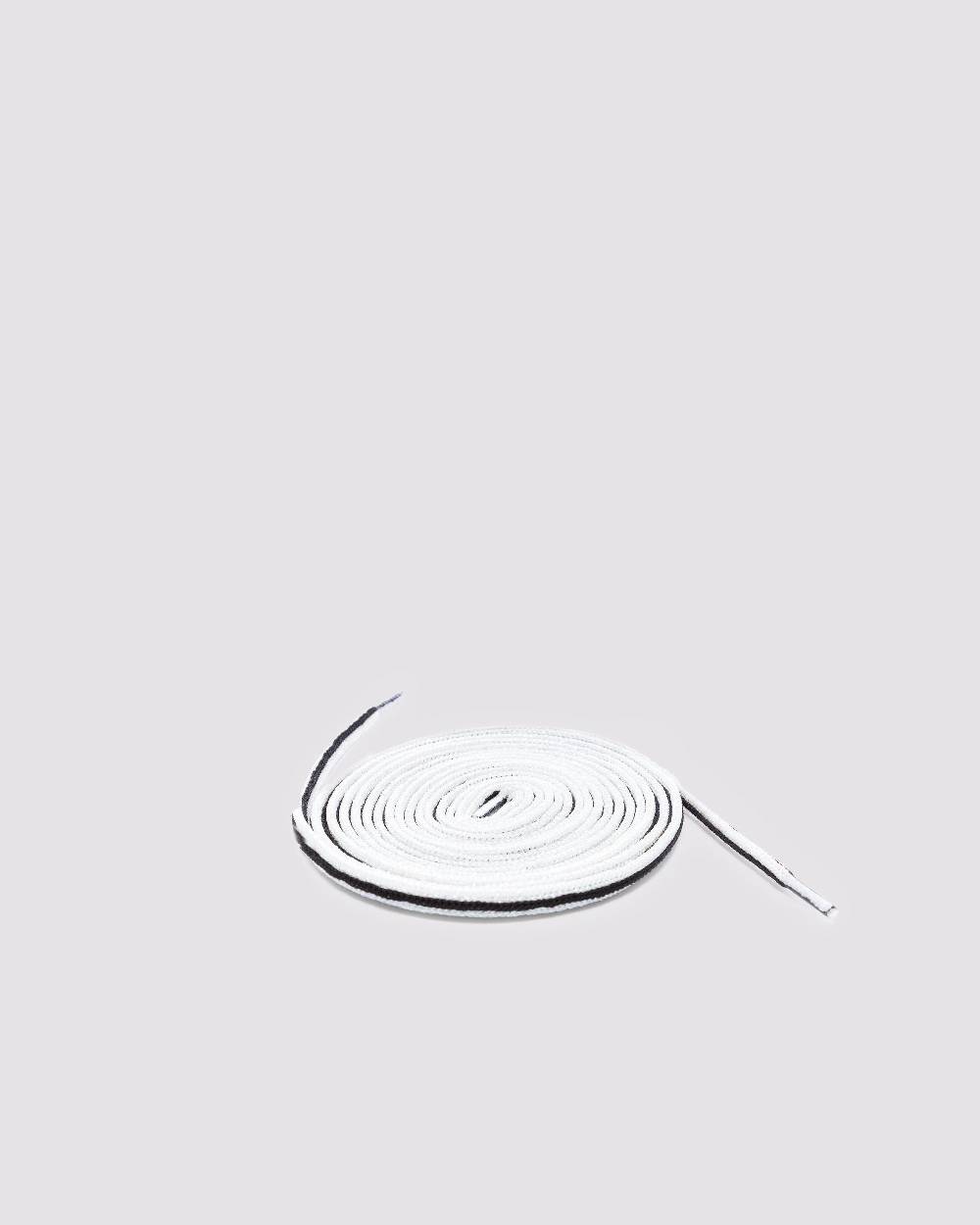 P448 Shoelaces Striped