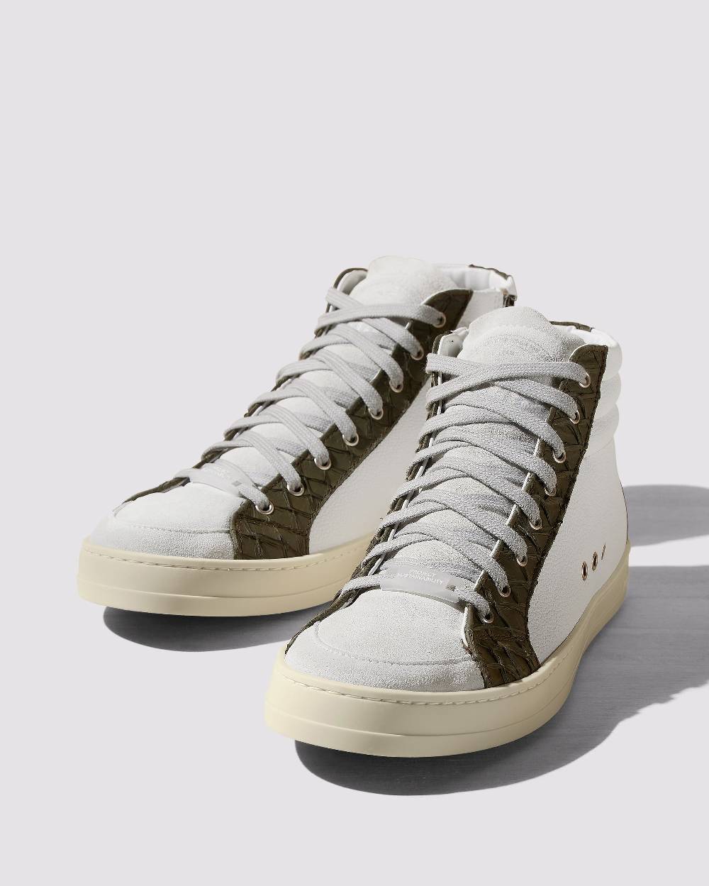 P448 Skate Carp/Cactus