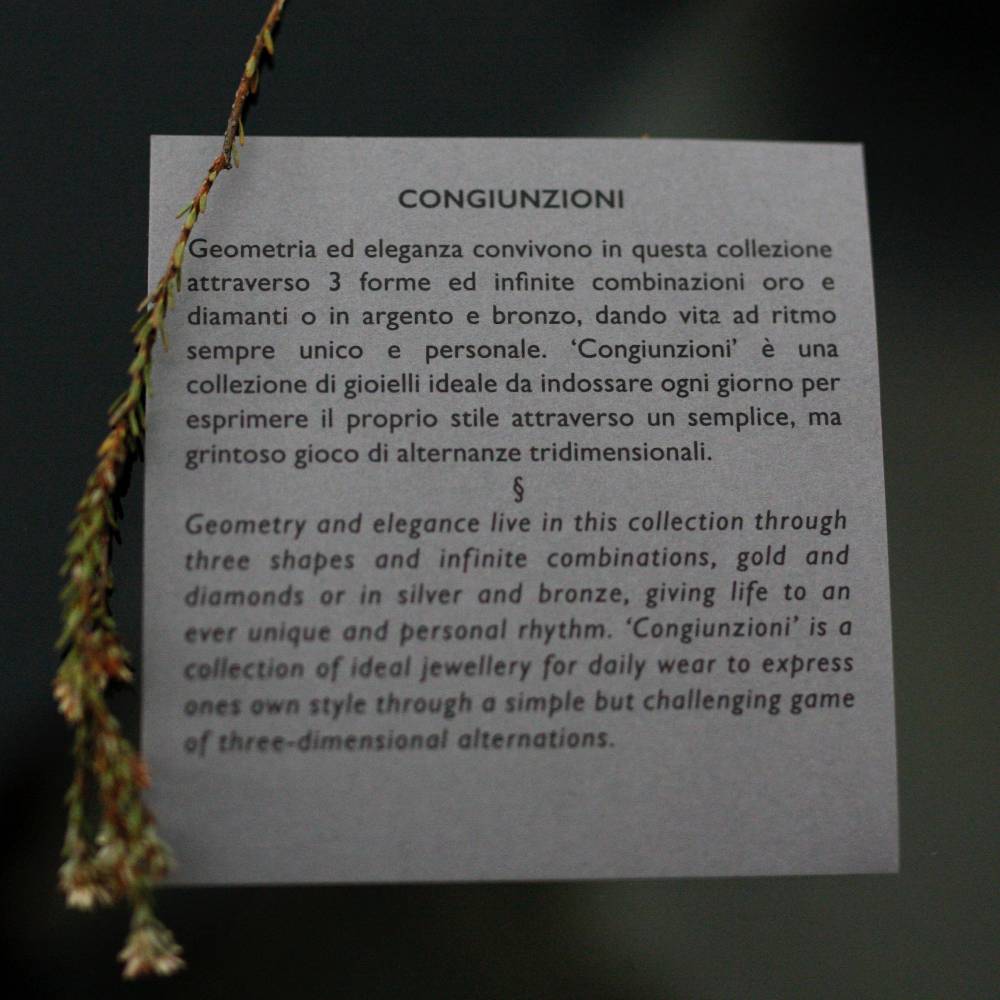 Paola Grande Gioielli CONGIUNZIONI Orecchini 'Congiunzioni' 5 Elementi