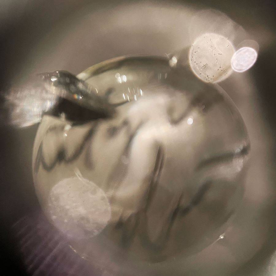 Paola Grande Gioielli SOLIS Anello 'Solis' In Argento Con Cristallo Di Rocca E Zirconi