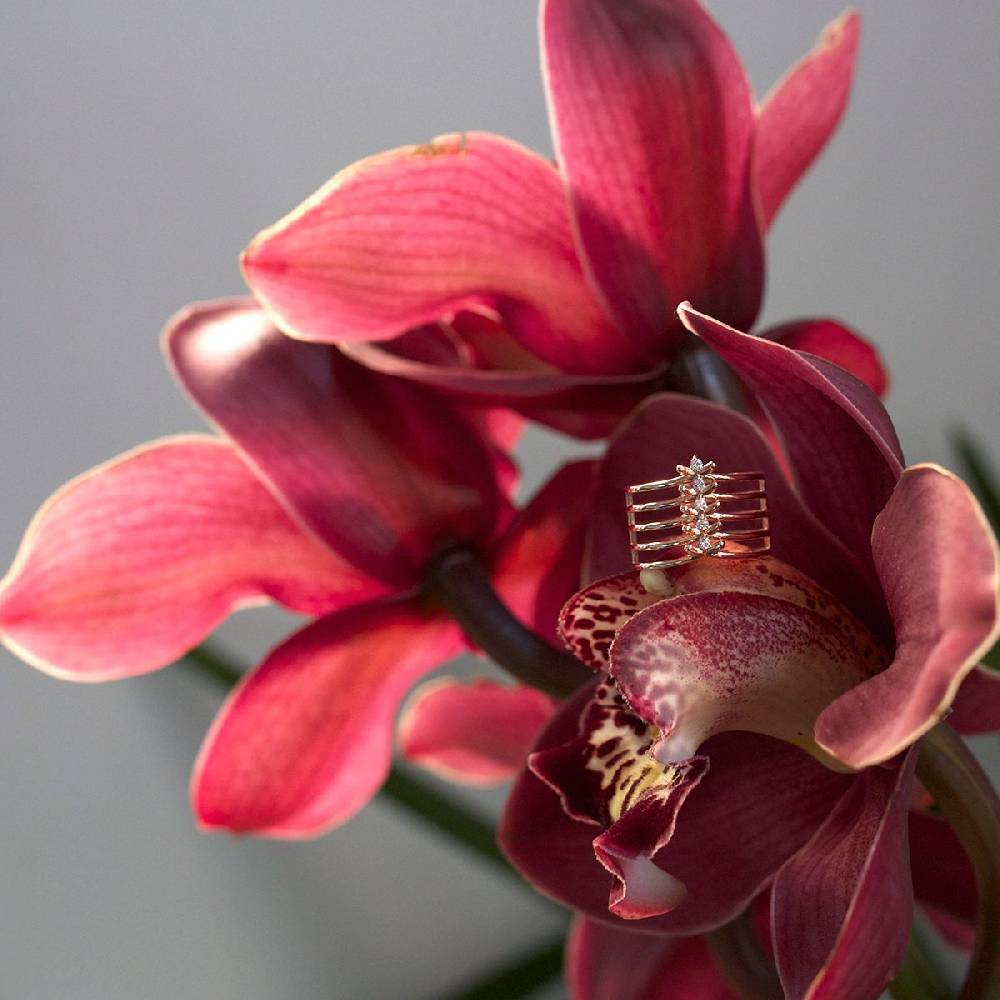 Paola Grande Gioielli SPINAE Anello 'Spinae' 5 Elementi