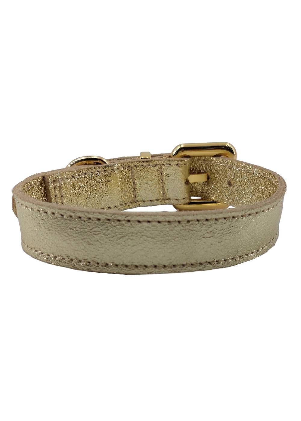 Paola T. Collare basic