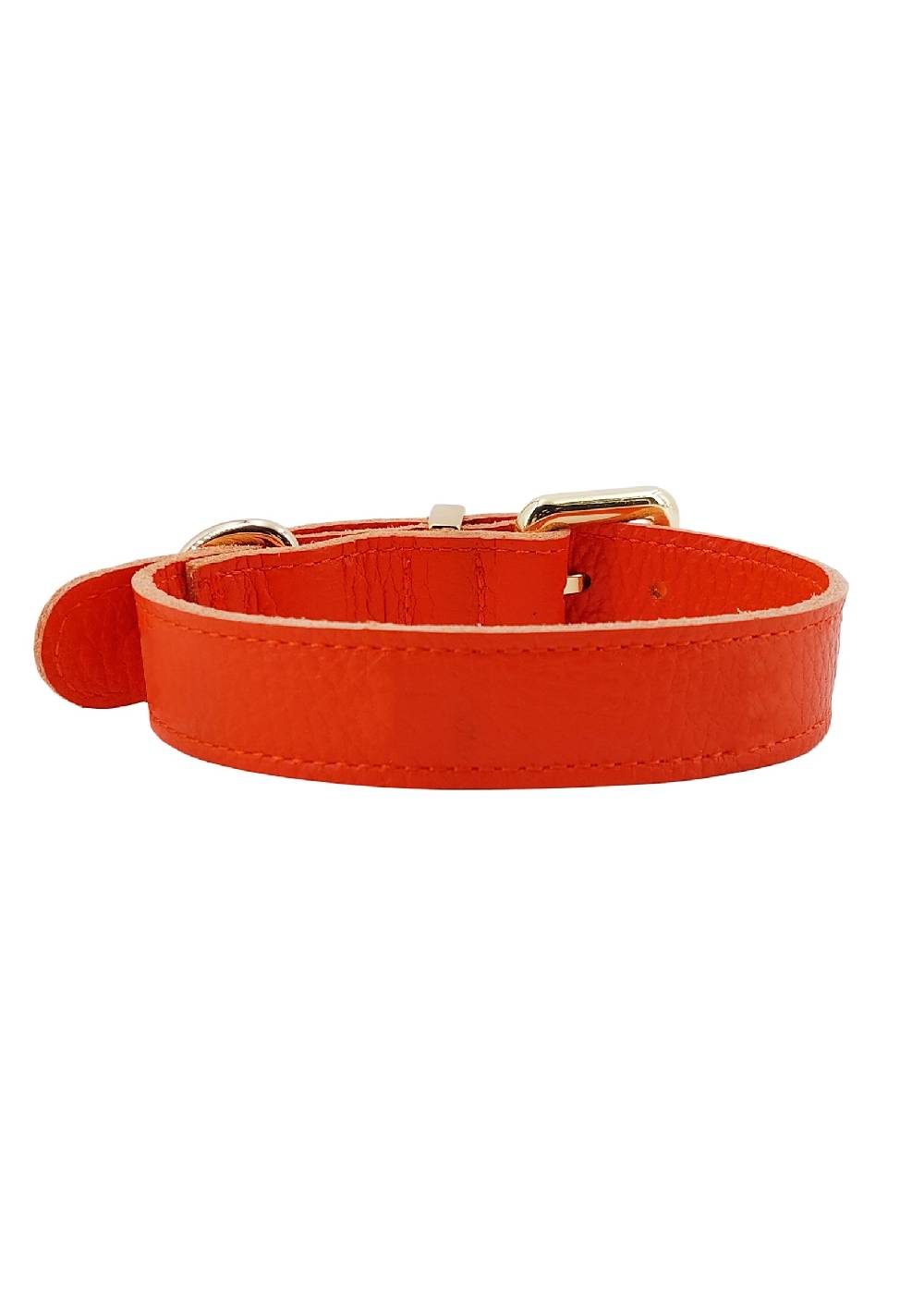 Paola T. Collare basic