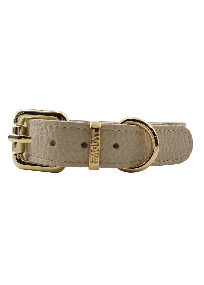 Paola T. Collare Basic