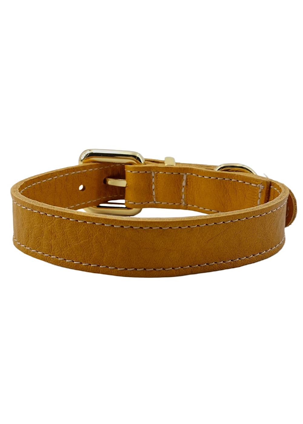 Paola T. Collare basic