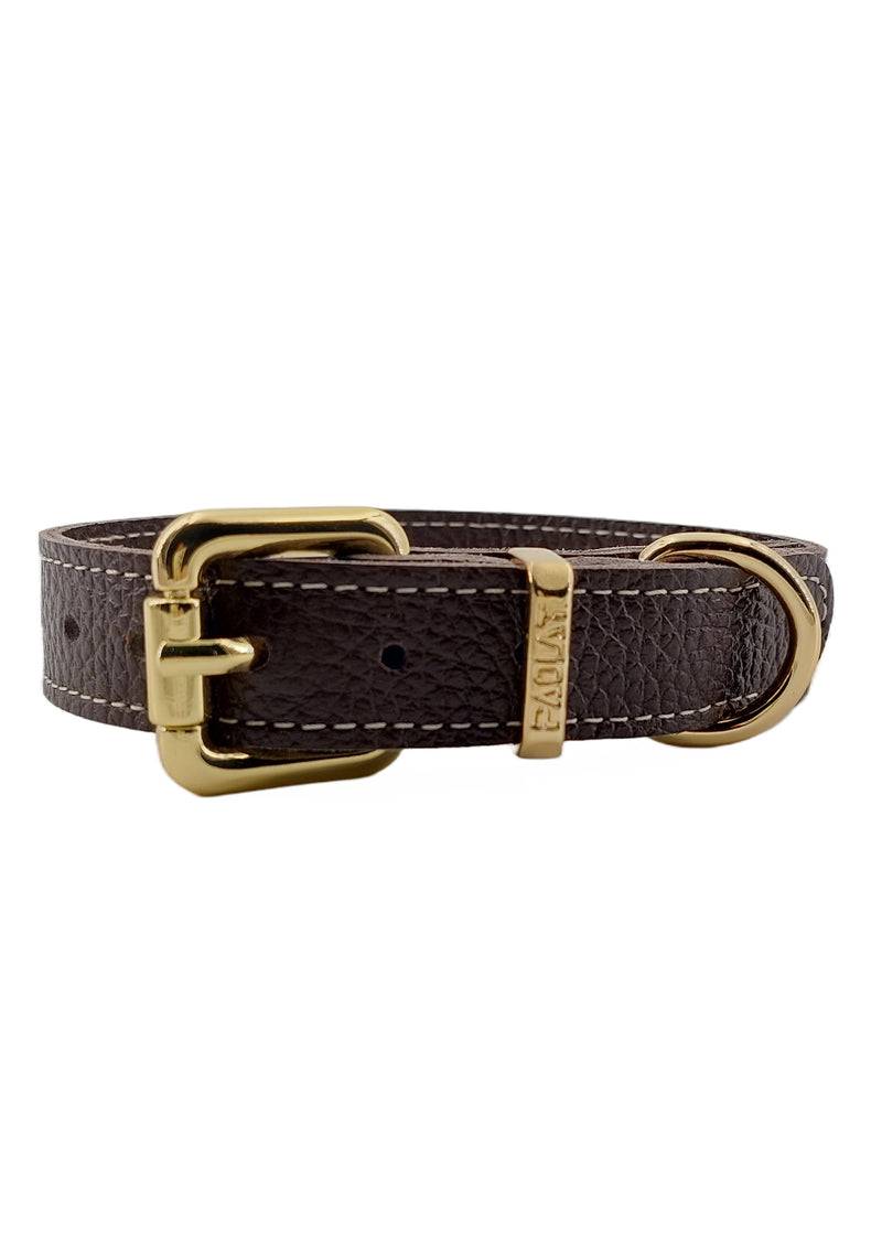 Paola T. Collare Basic