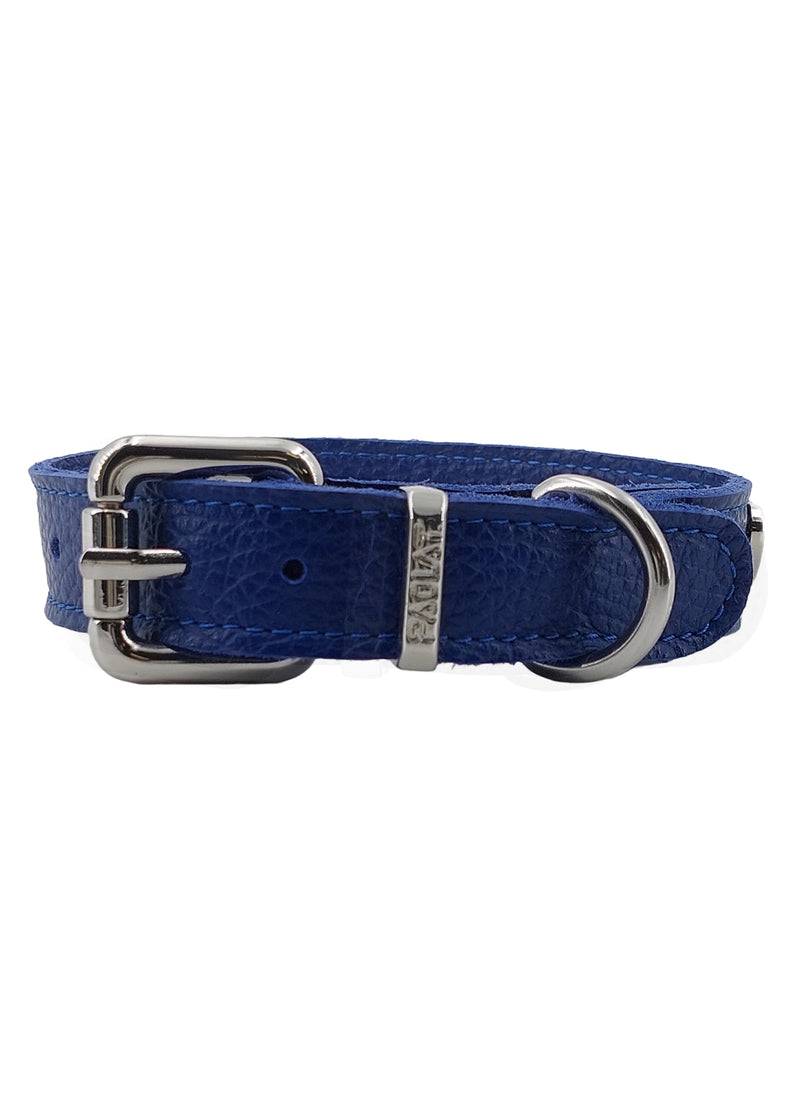 Paola T. Collare Basic