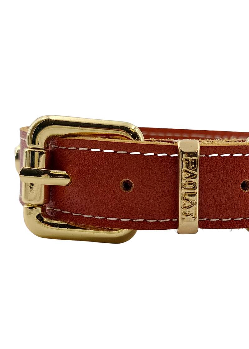 Paola T. Collare Castoni