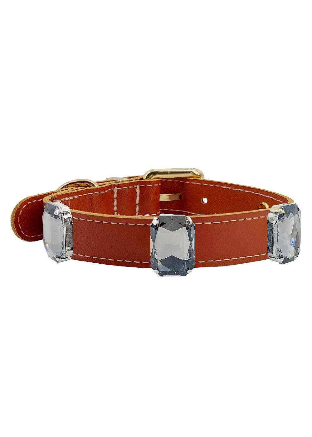 Paola T. Collare castoni