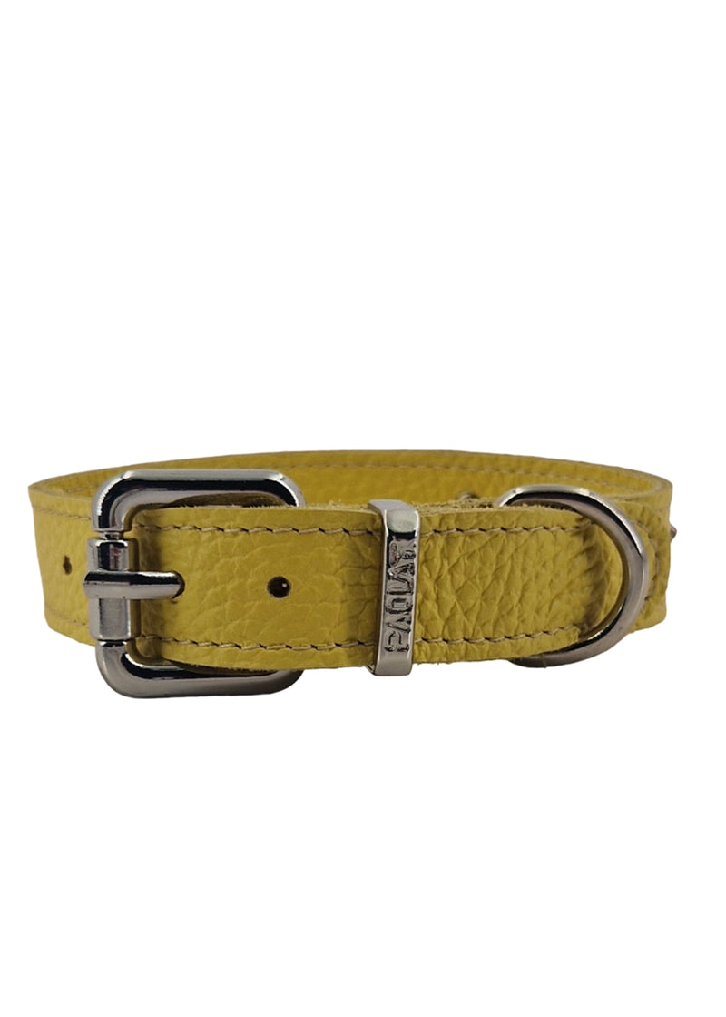 Paola T. Collare Stella