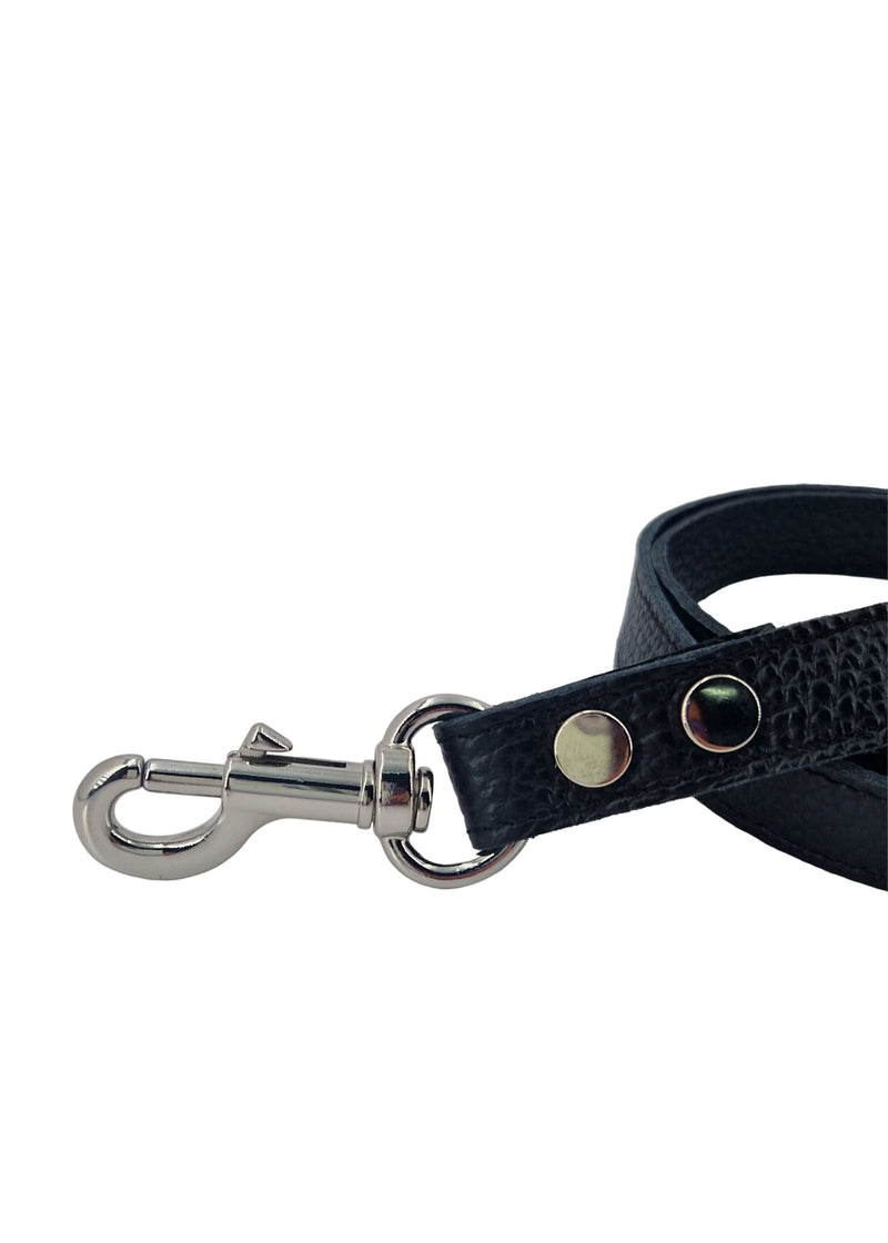 Paola T. Guinzaglio Classico