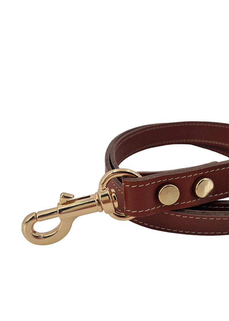 Paola T. Guinzaglio Classico