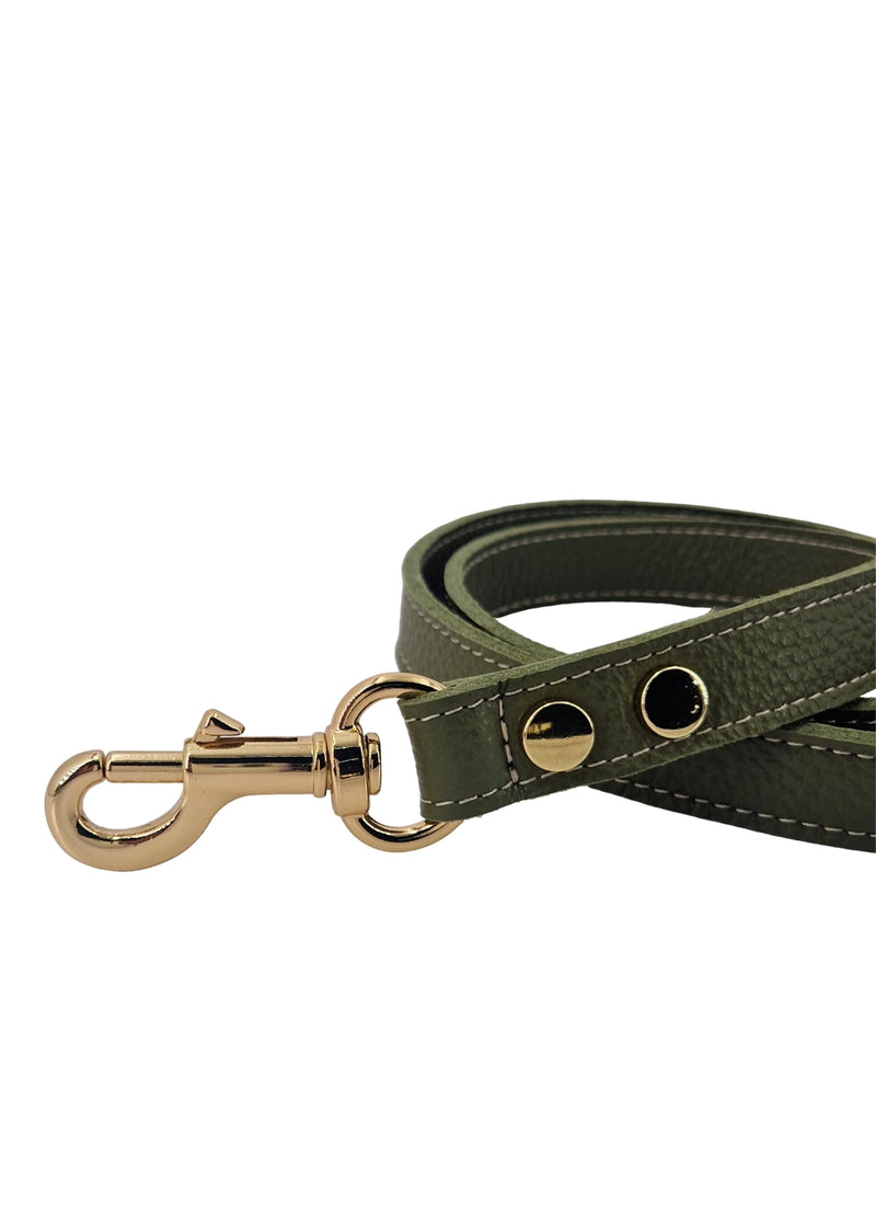 Paola T. Guinzaglio Classico