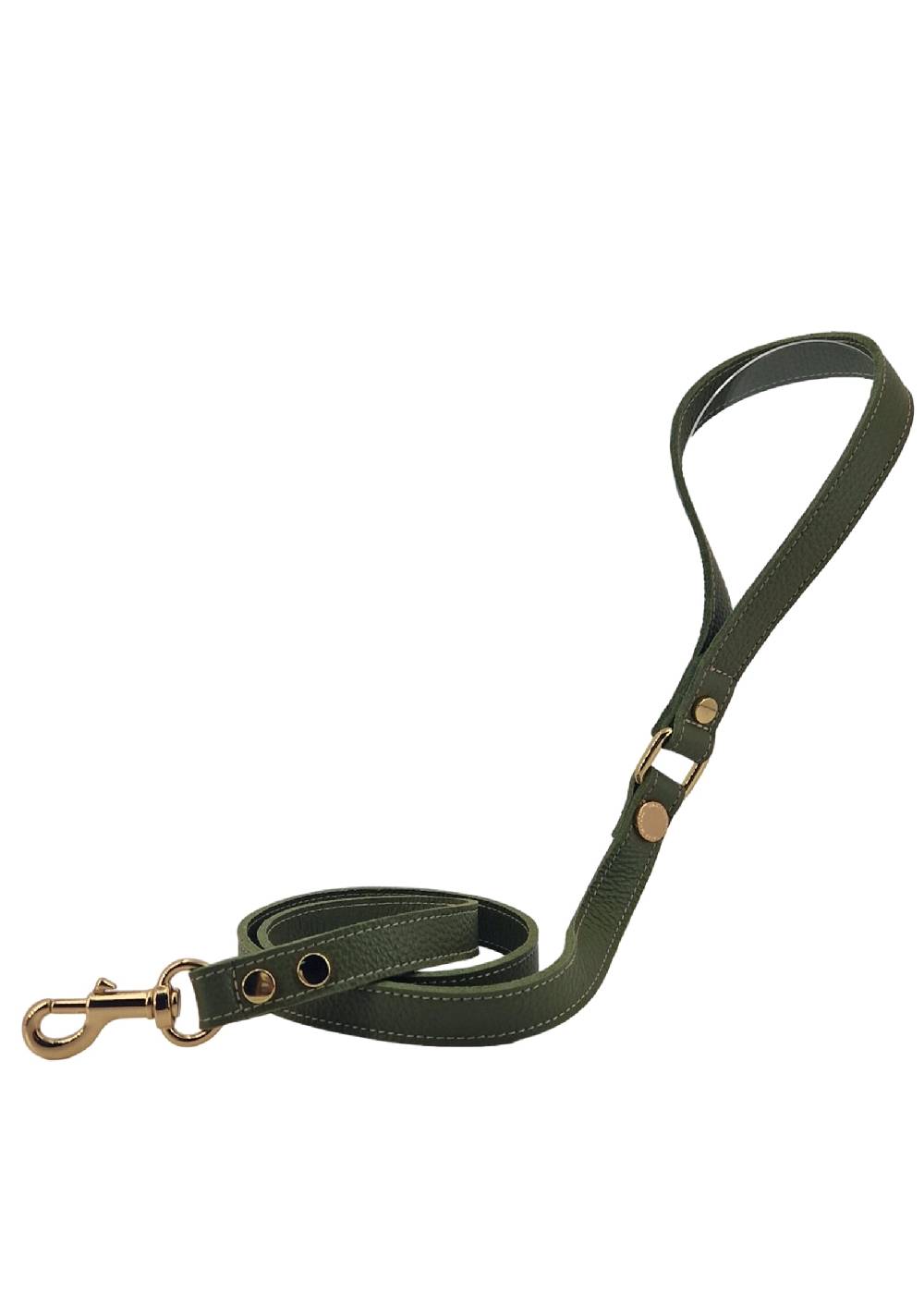 Paola T. Guinzaglio classico