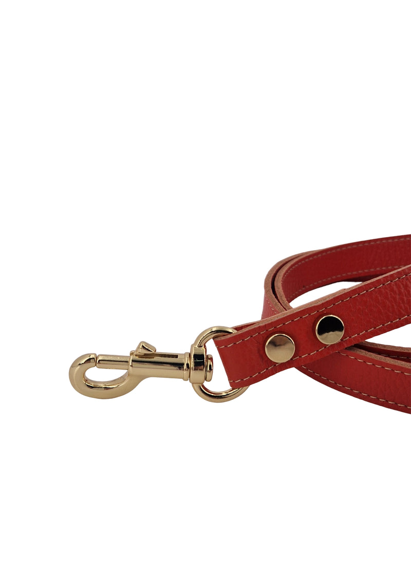 Paola T. Guinzaglio Classico