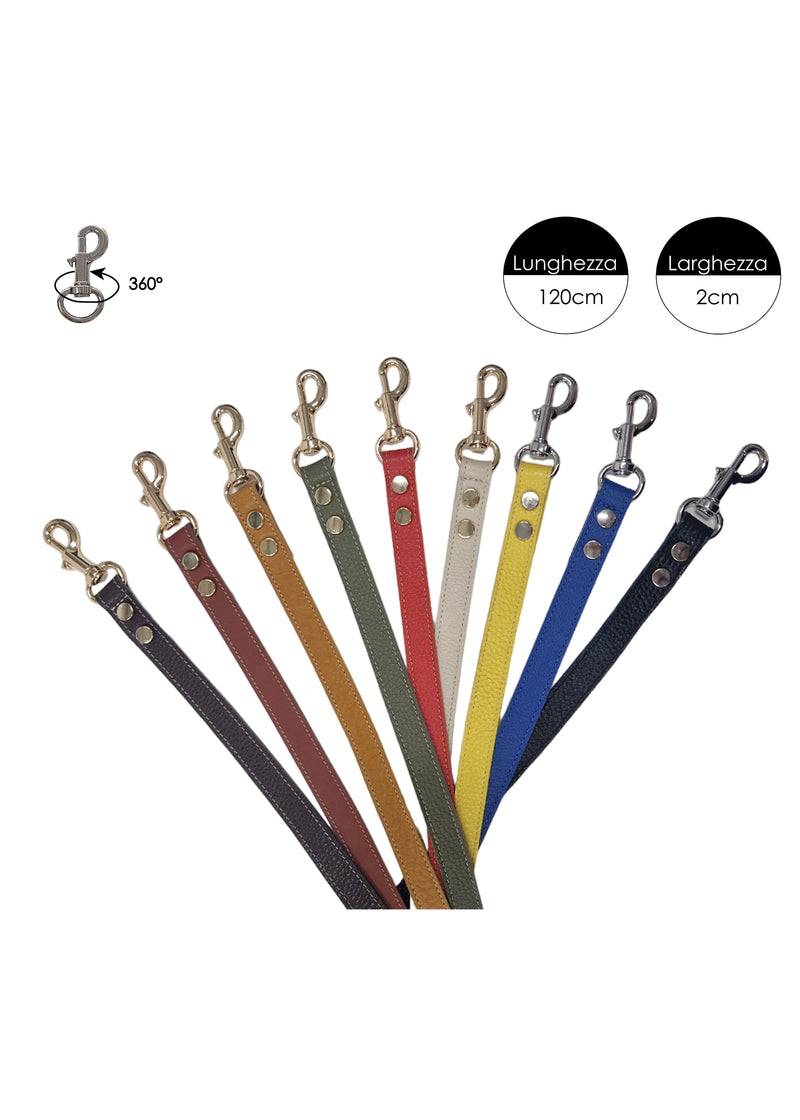 Paola T. Guinzaglio Classico