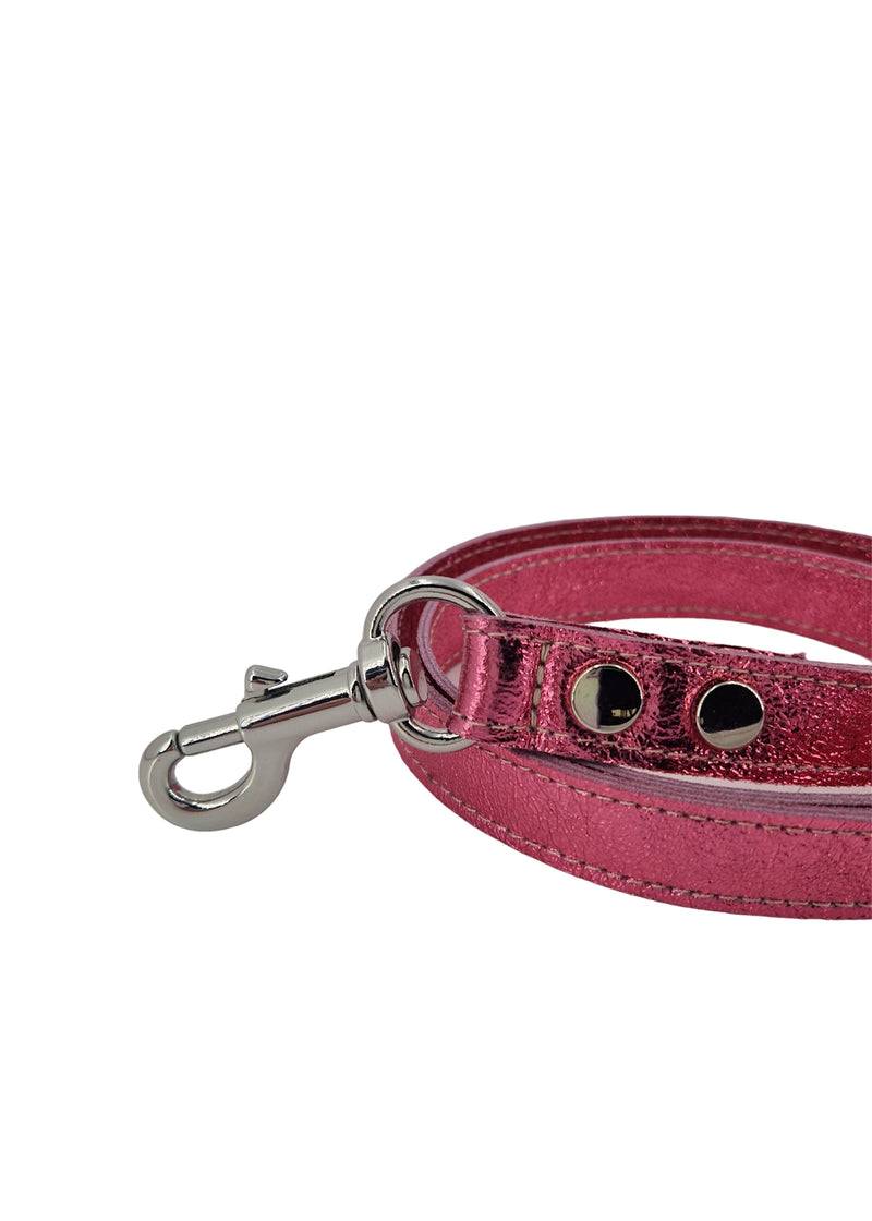 Paola T. Guinzaglio Classico