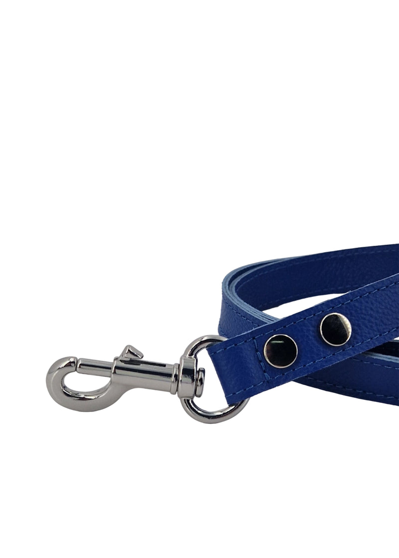 Paola T. Guinzaglio Classico