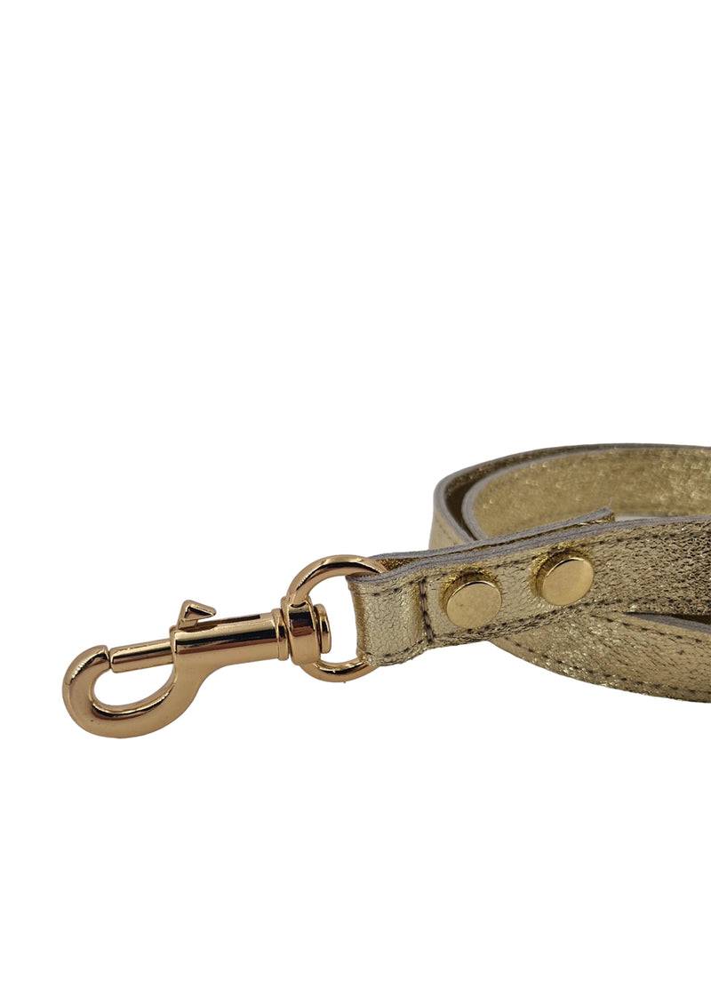 Paola T. Guinzaglio Classico