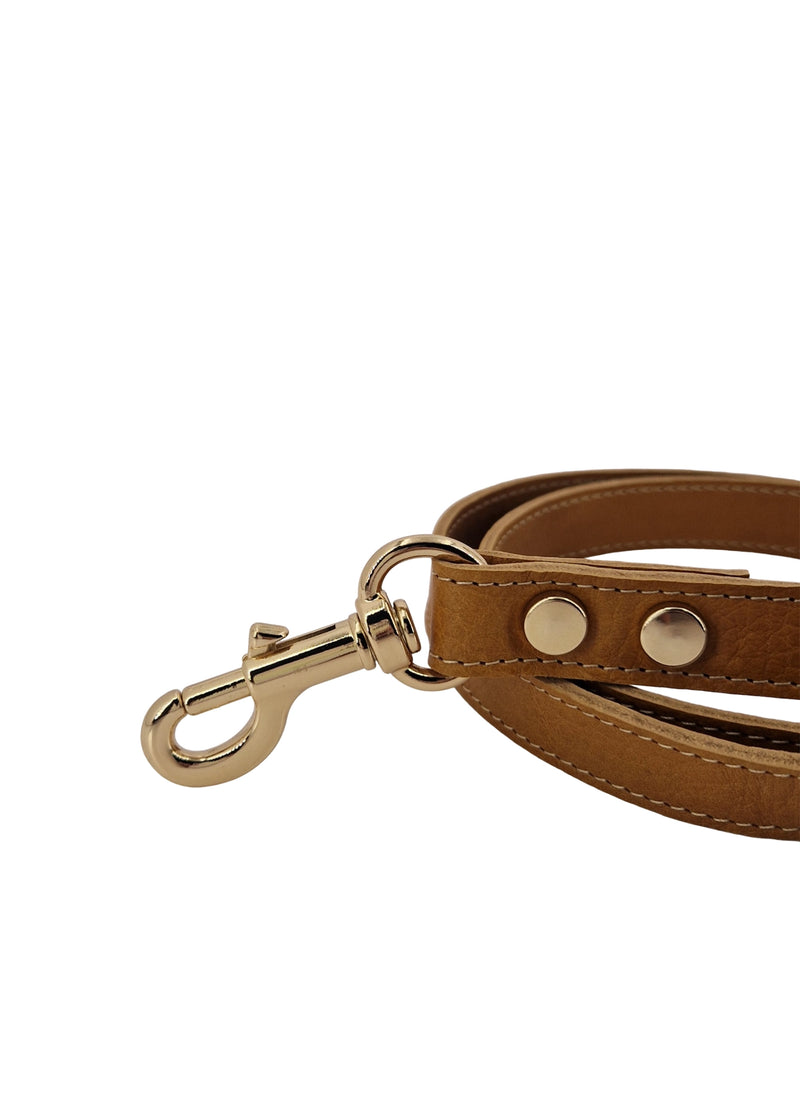 Paola T. Guinzaglio Classico