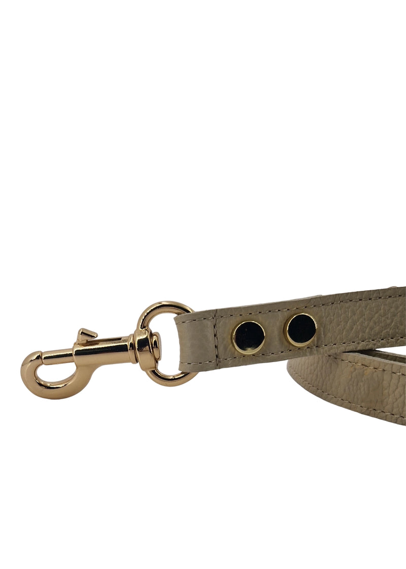 Paola T. Guinzaglio Classico