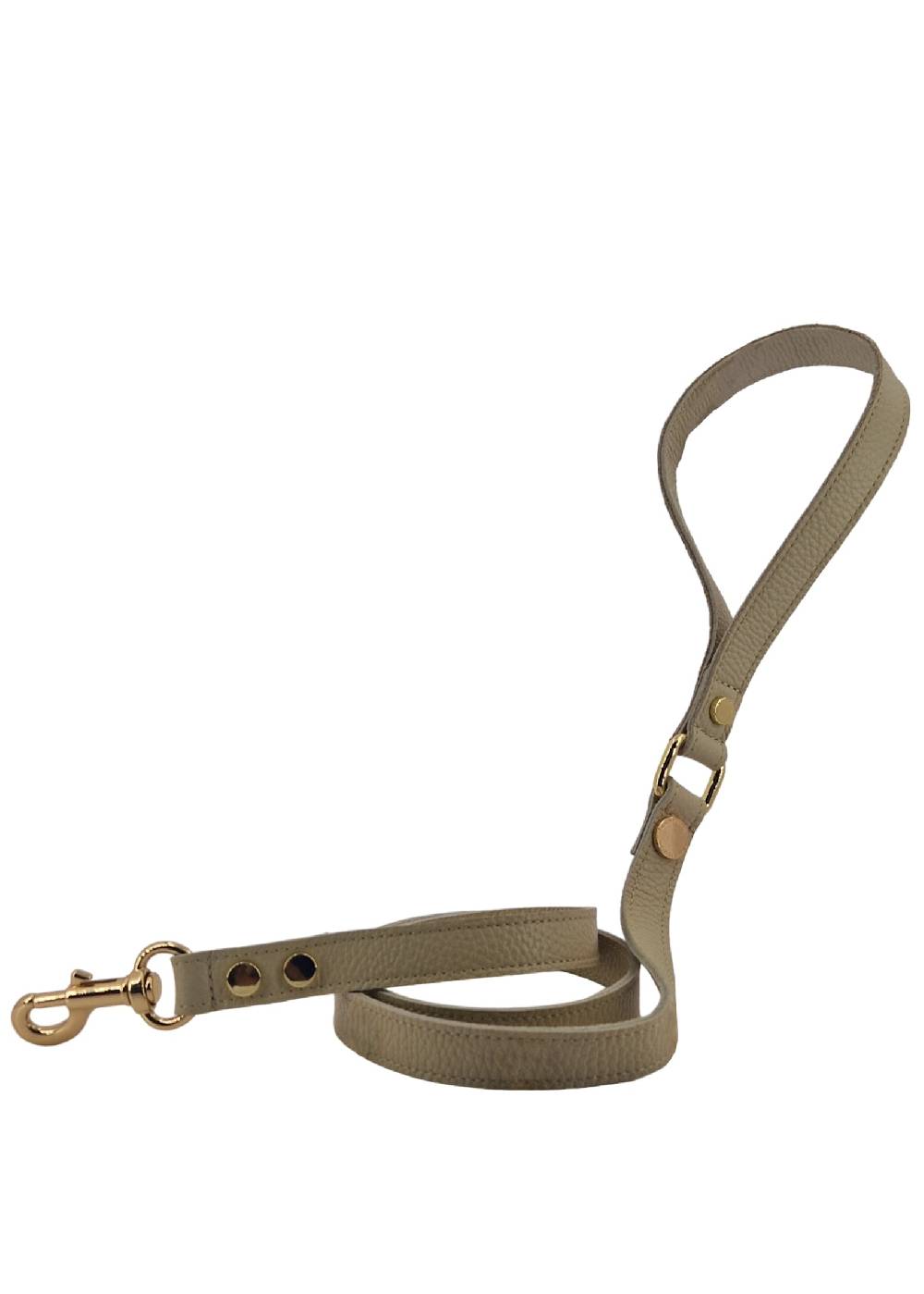 Paola T. Guinzaglio classico