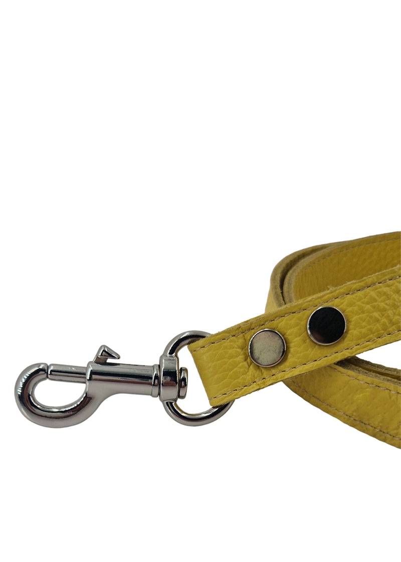 Paola T. Guinzaglio Classico