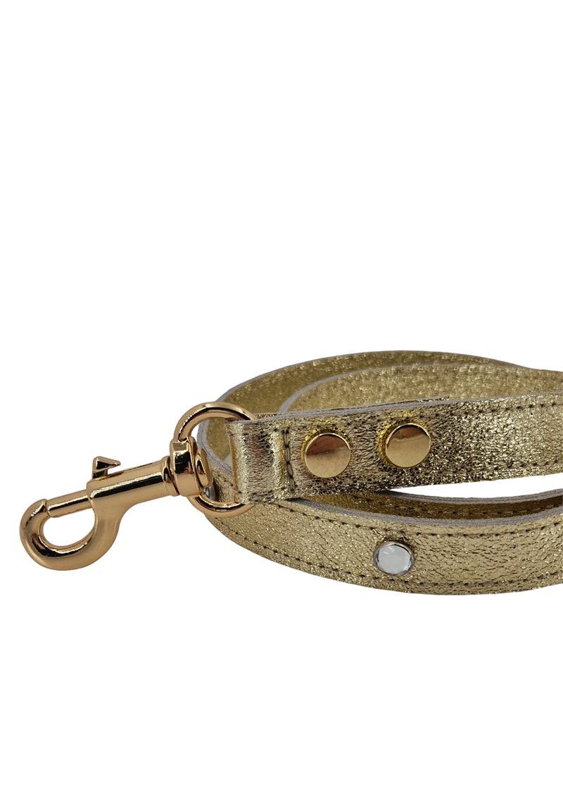 Paola T. Guinzaglio Luxury Diamond