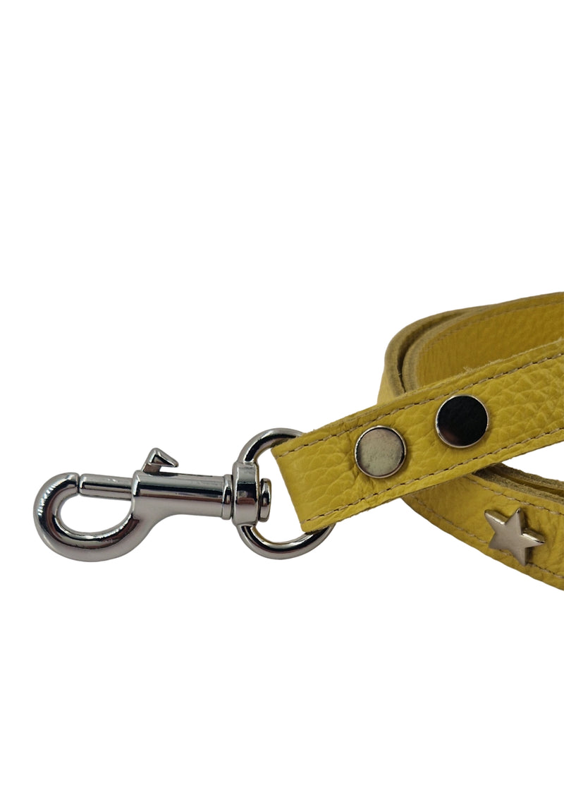 Paola T. Guinzaglio Stella