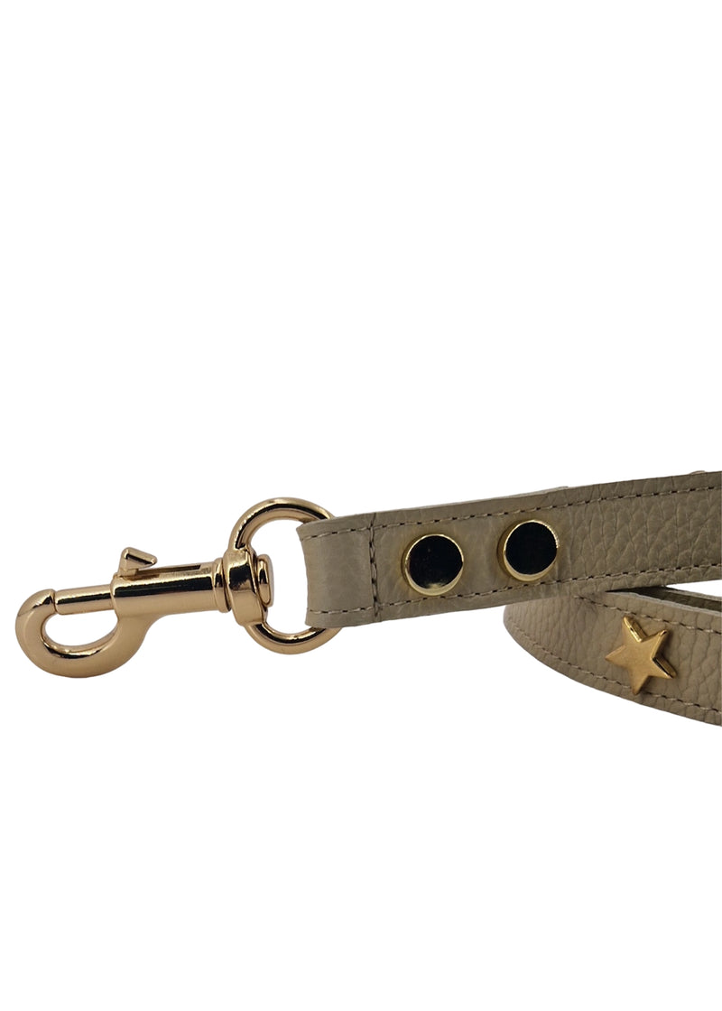 Paola T. Guinzaglio Stella