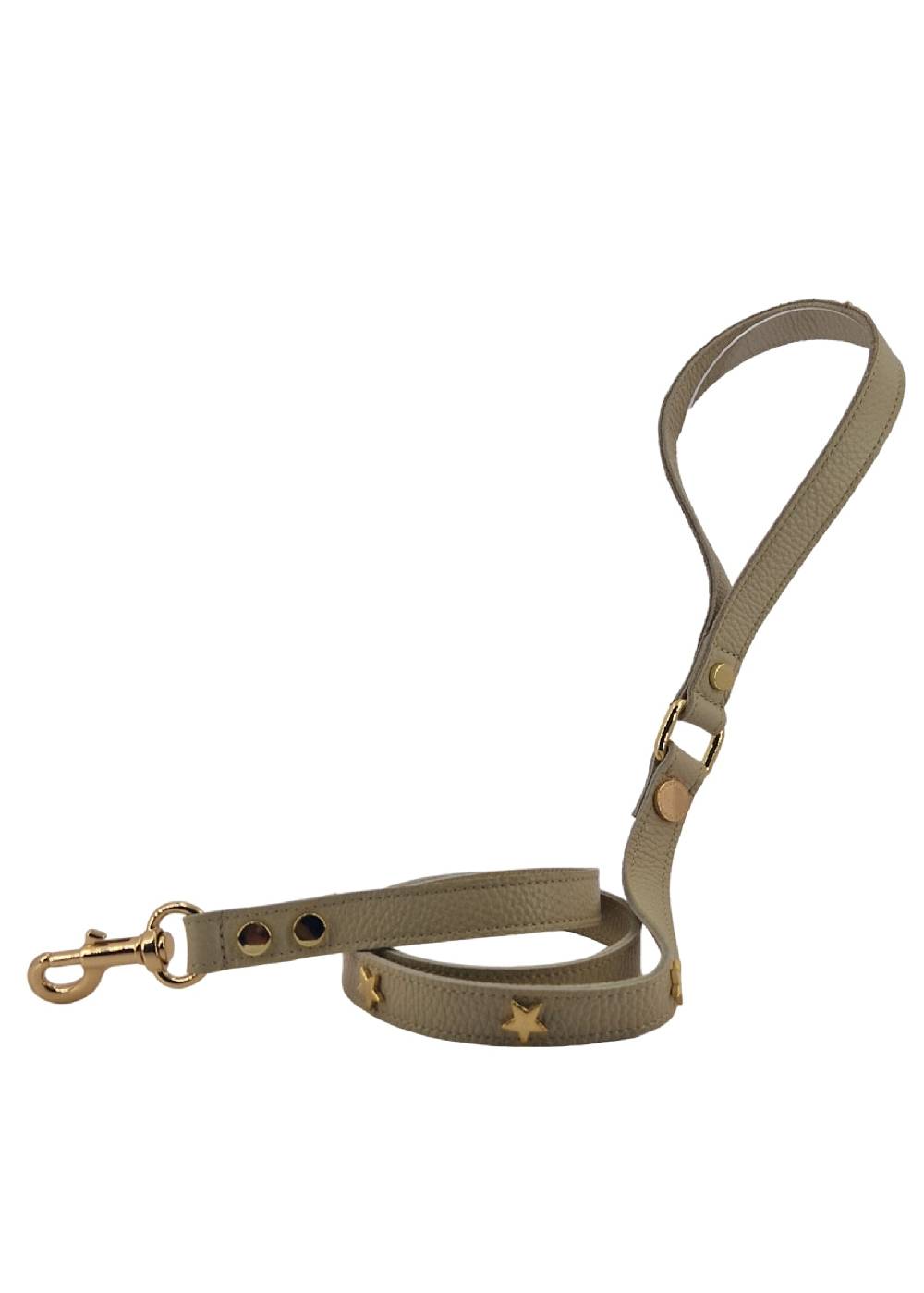 Paola T. Guinzaglio stella