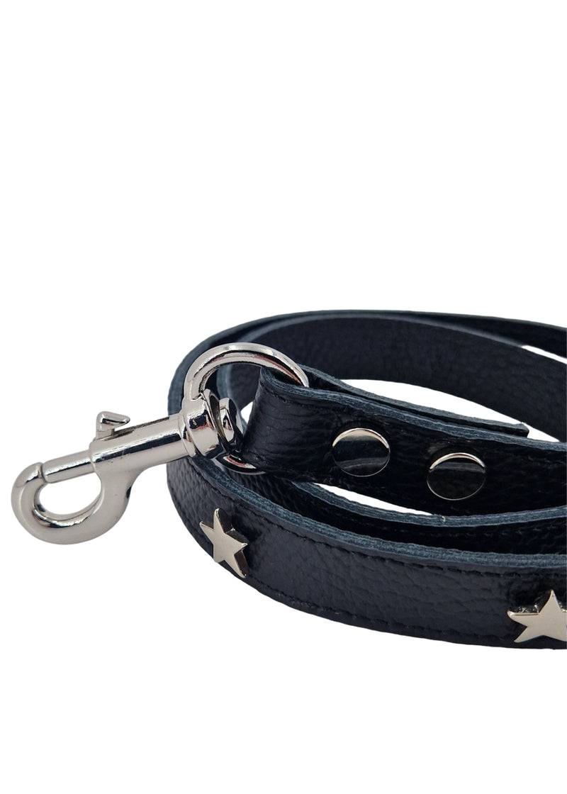 Paola T. Guinzaglio Stella