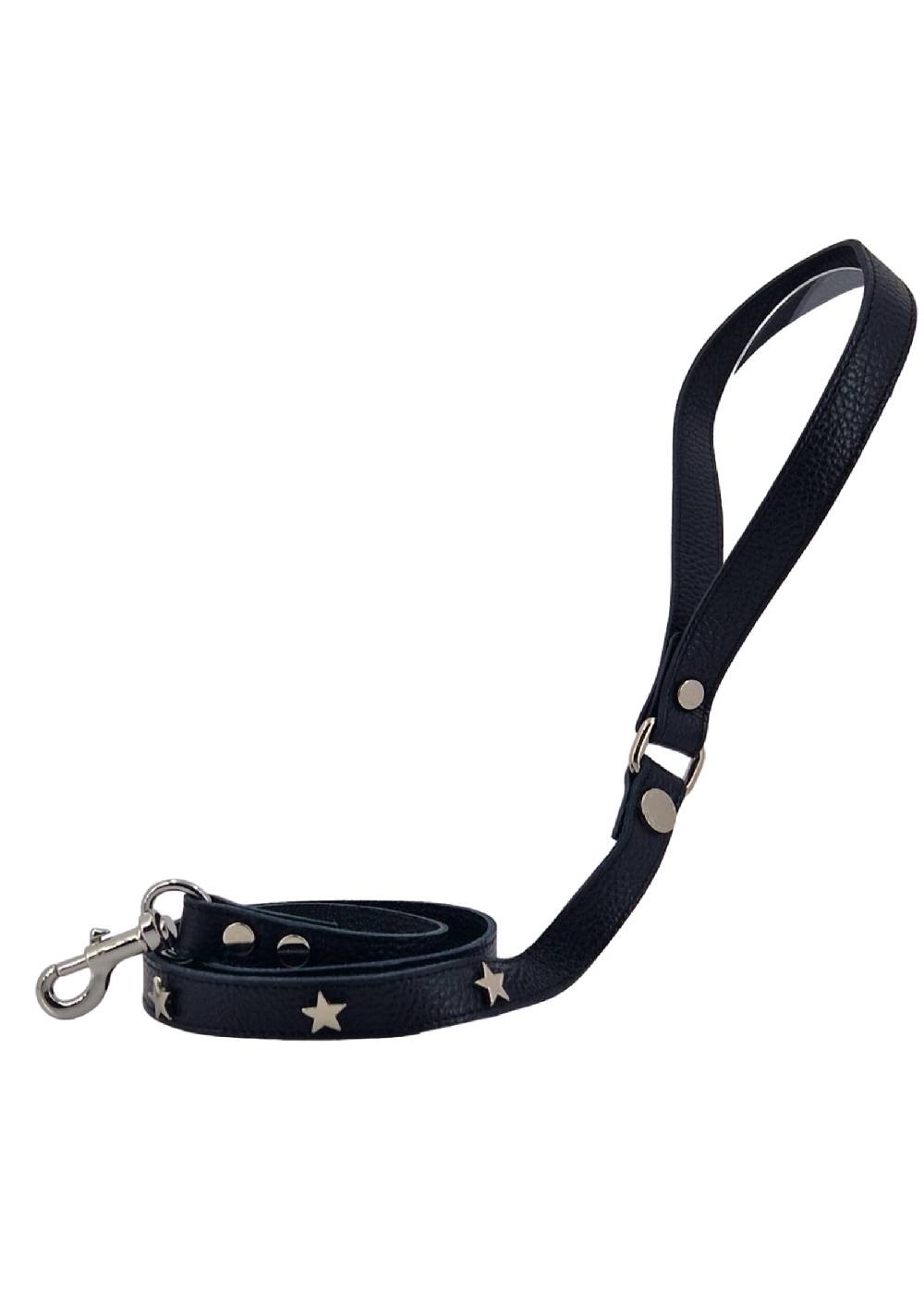 Paola T. Guinzaglio stella