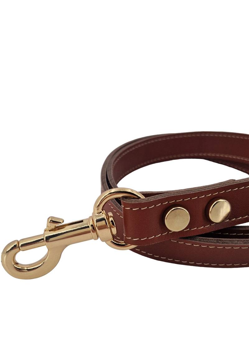 Paola T. Guinzaglio Stella