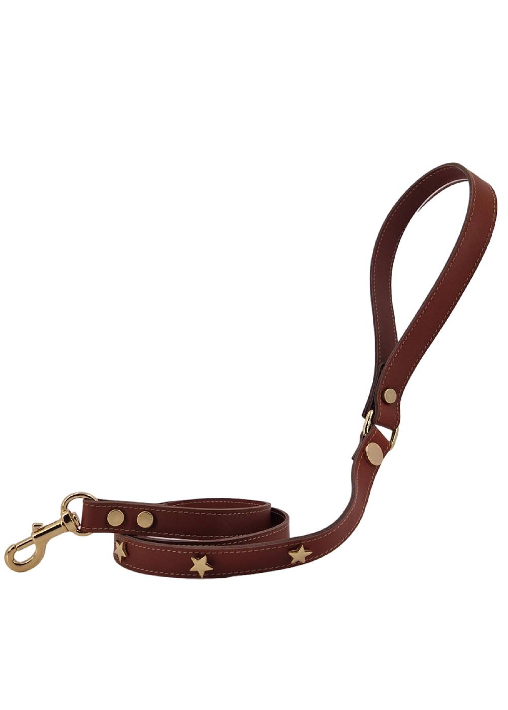 Paola T. Guinzaglio stella