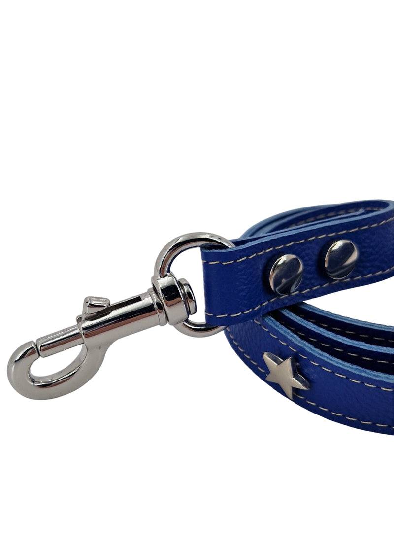 Paola T. Guinzaglio Stella