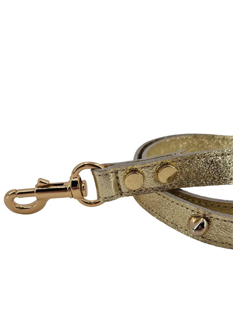 Paola T. Guinzaglio Stella