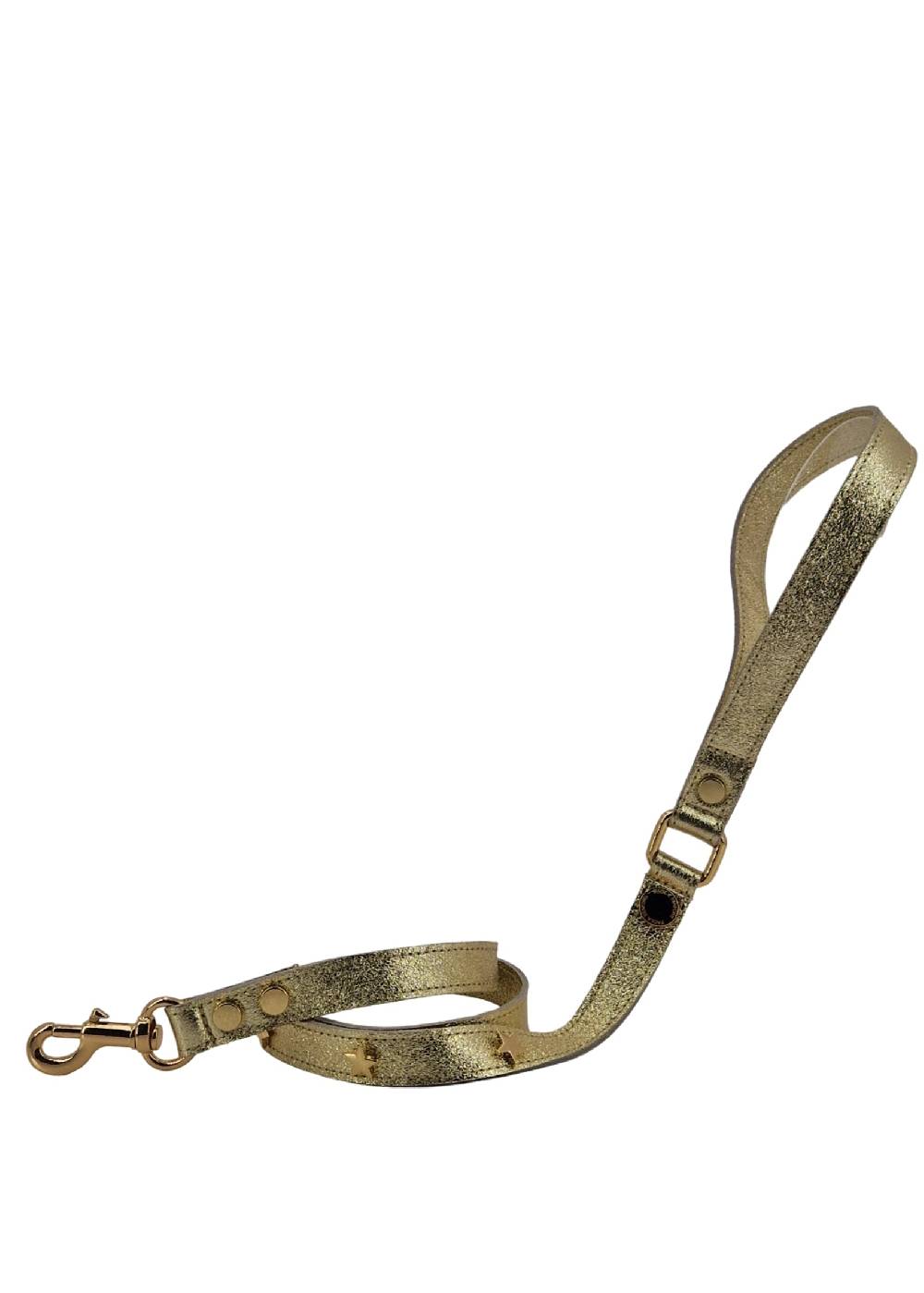 Paola T. Guinzaglio stella