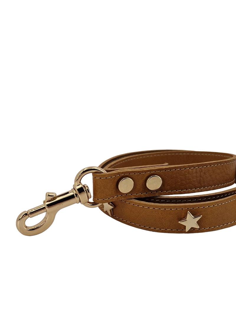 Paola T. Guinzaglio Stella