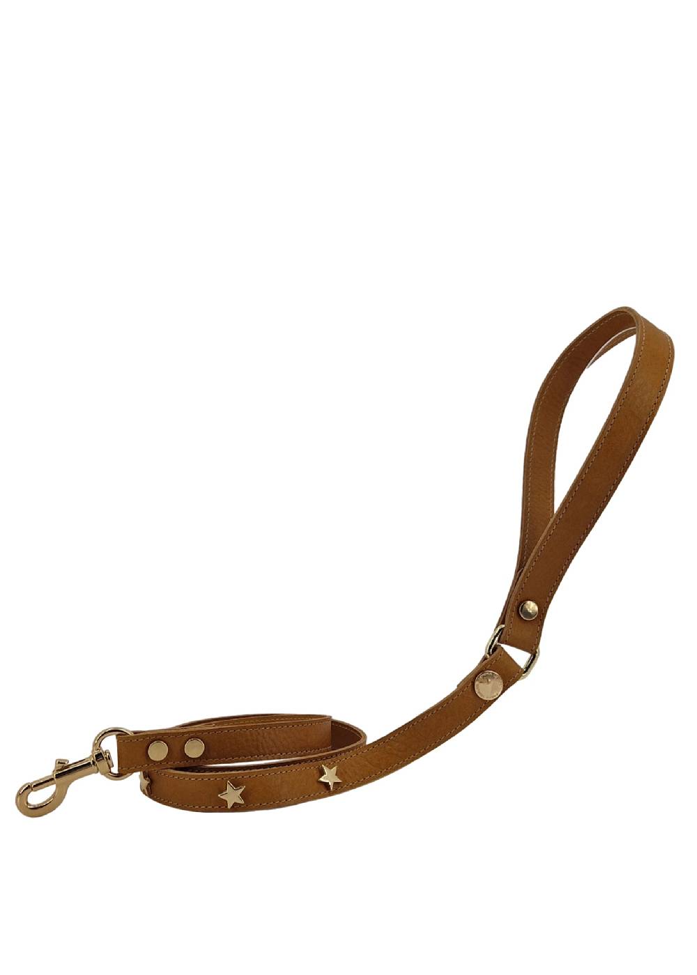 Paola T. Guinzaglio stella